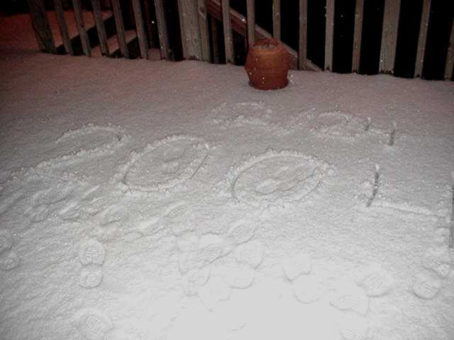 The date 12/24 2004 written on the deck of the Johnstone's home.