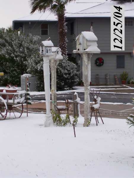 Bird house's at the Morecraft home on Marlin.
