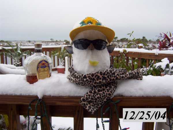 Wilson in the snow, wanting to go back to Cozumel.
