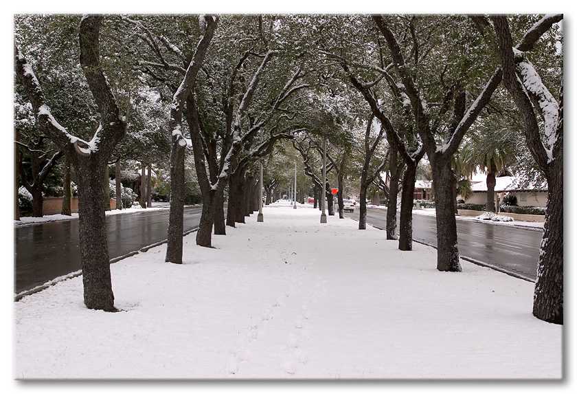 Looking down Broadway in Galveston.