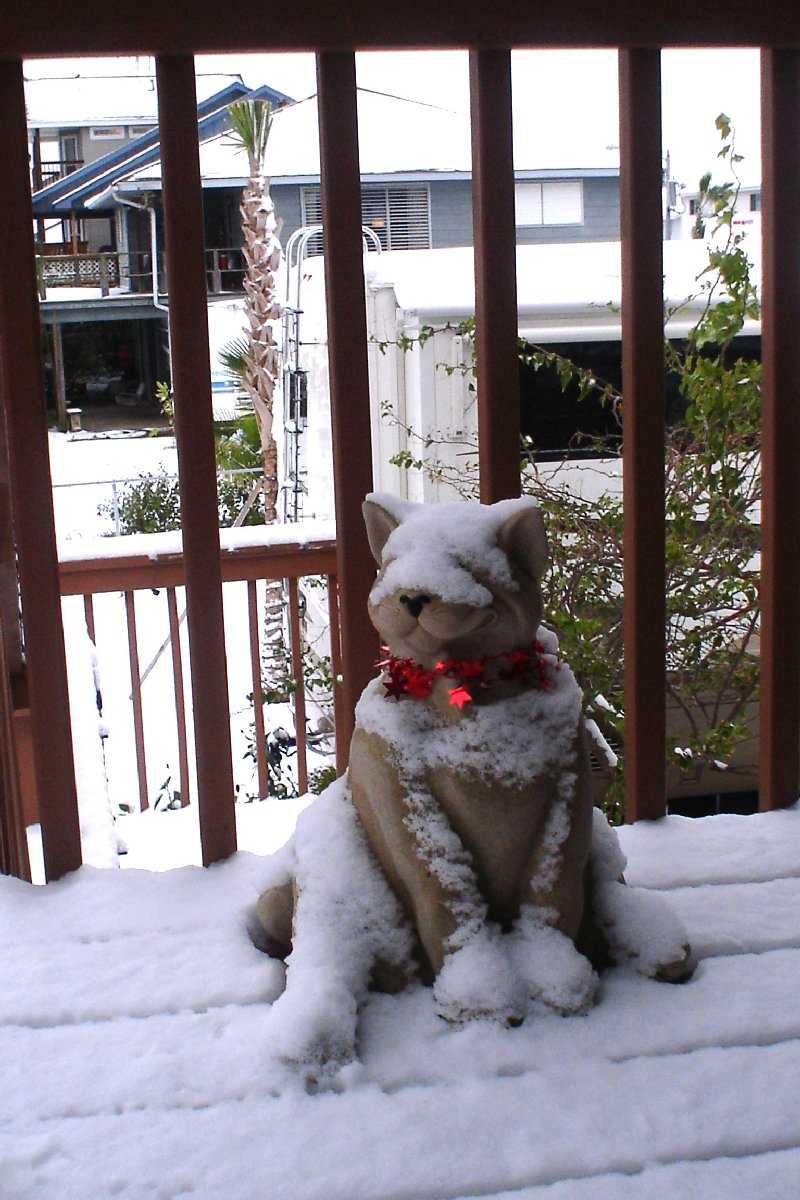 Cute fat cat statue on the Posey's porch.