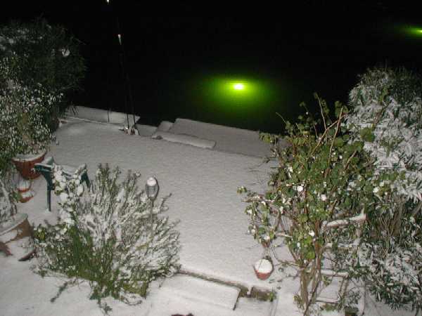 Back yard of the Burleson's on Ling.