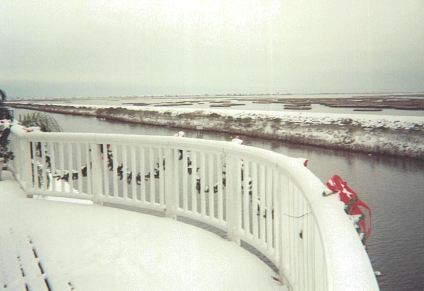 View of snow in Highlands Bayou at the end of Pompano.